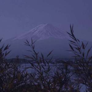 欲望胸器女教师
